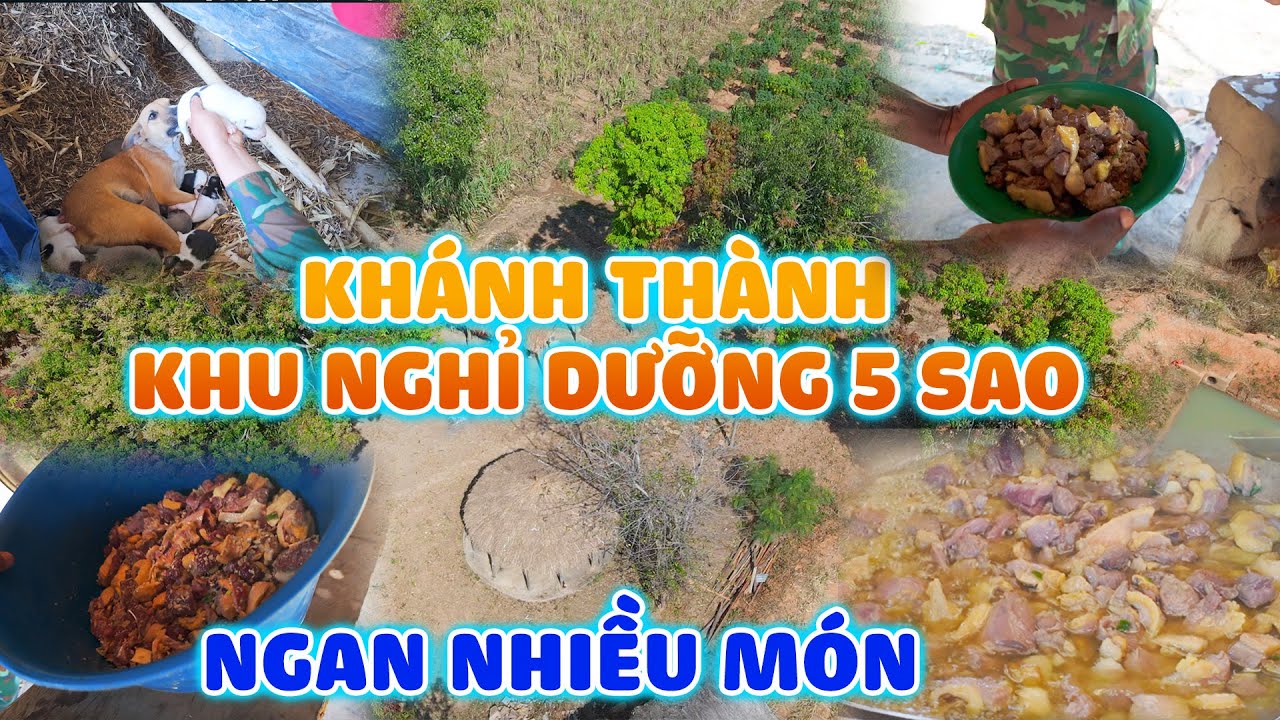 Khánh Thành Khu Nghỉ Dưỡng 5 SAO - Chào Đón Các Thành Viên Mới